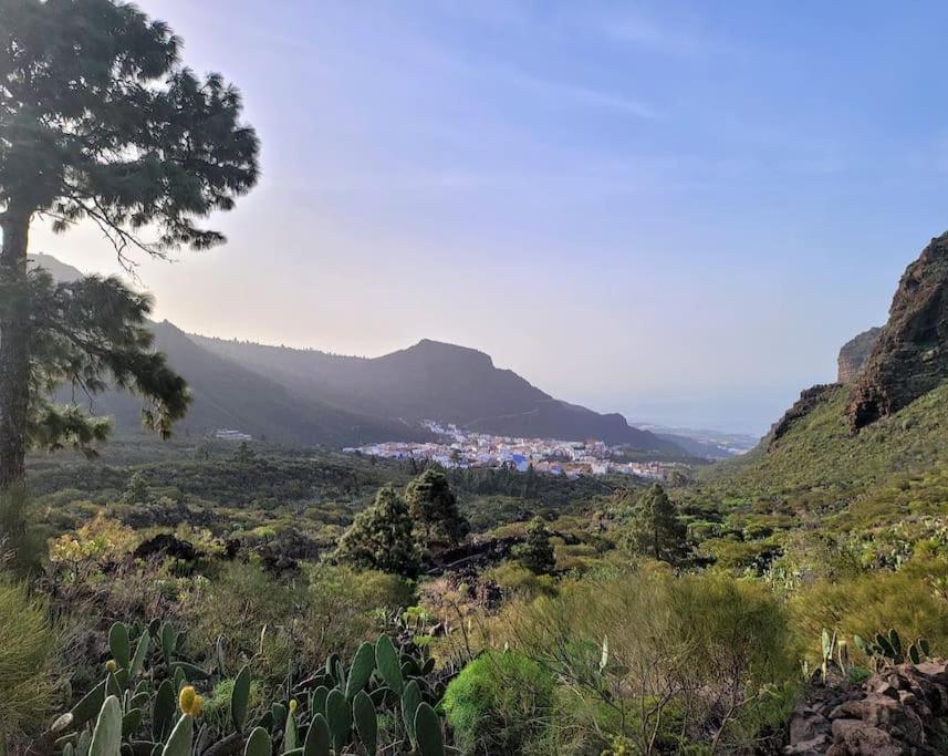 Hikers Haven Courtyard Tamaimo Tenerife