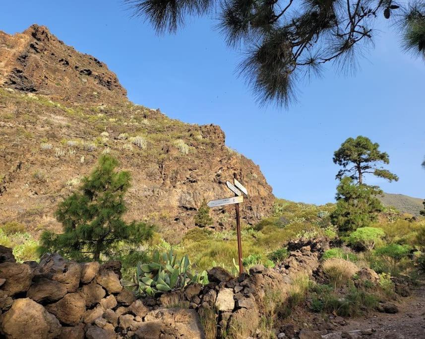Hikers Haven Courtyard Tamaimo Tenerife Apartment
