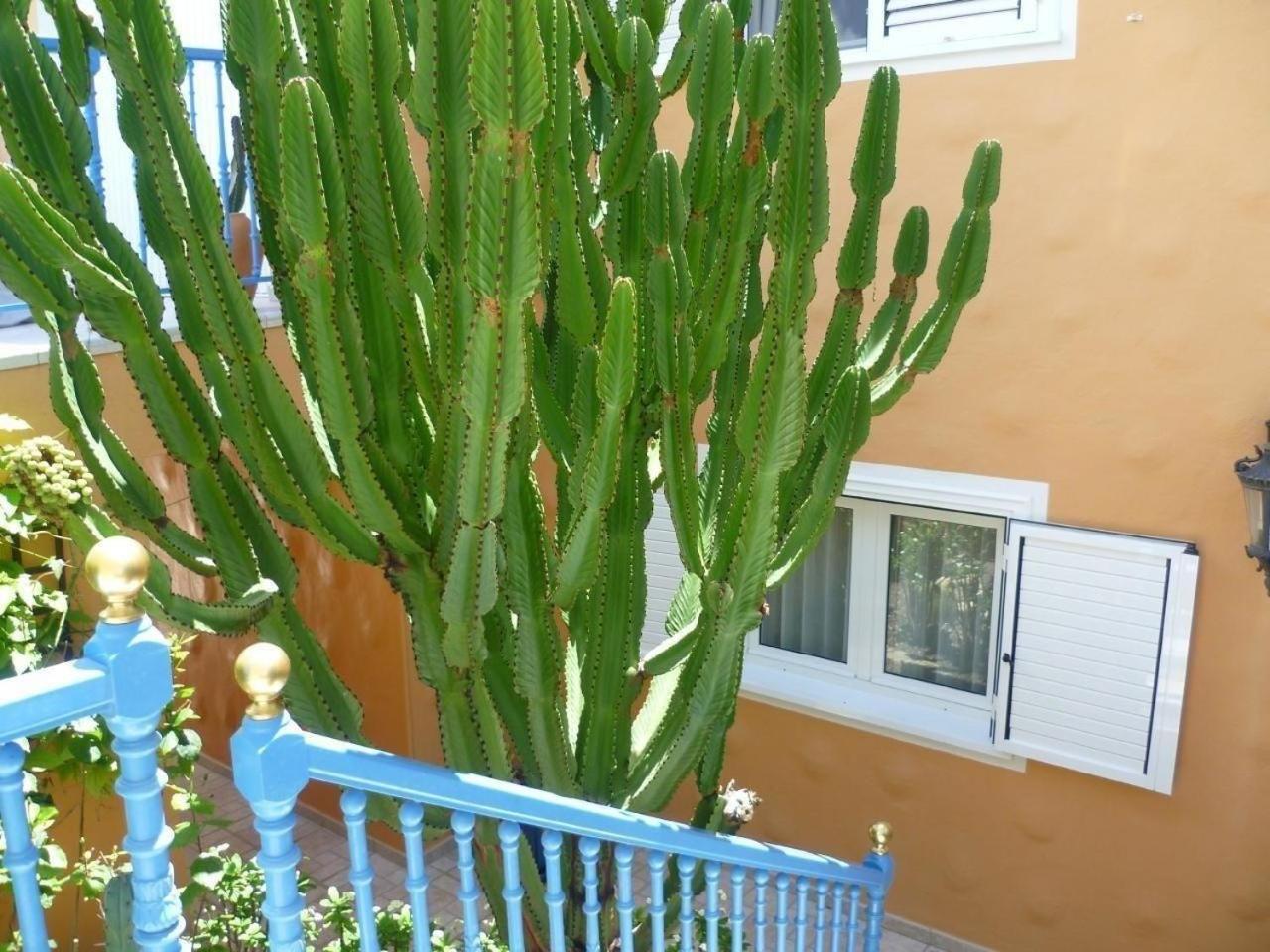 Сasa de vacaciones Charmantes In Mit Terrasse, Garten Und Pool *