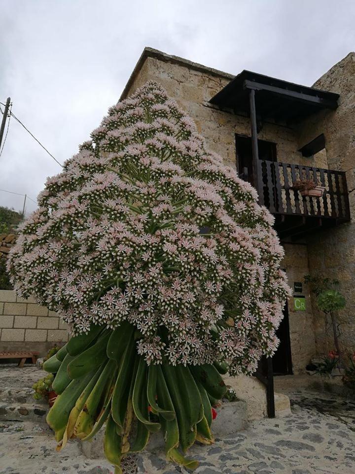 Vigas Country house Arico Viejo