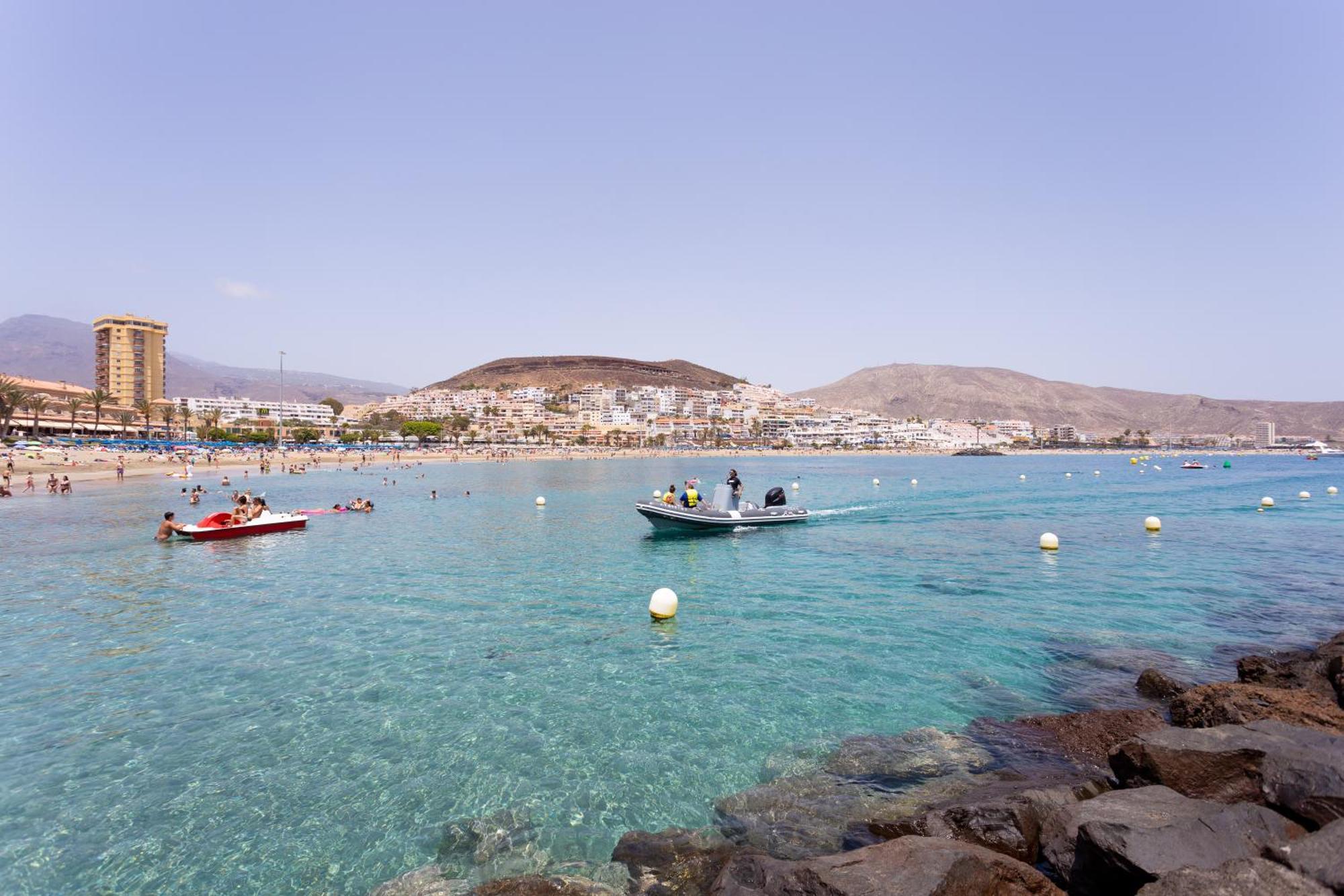 Buho Cristianos * Los Cristianos (Tenerife)