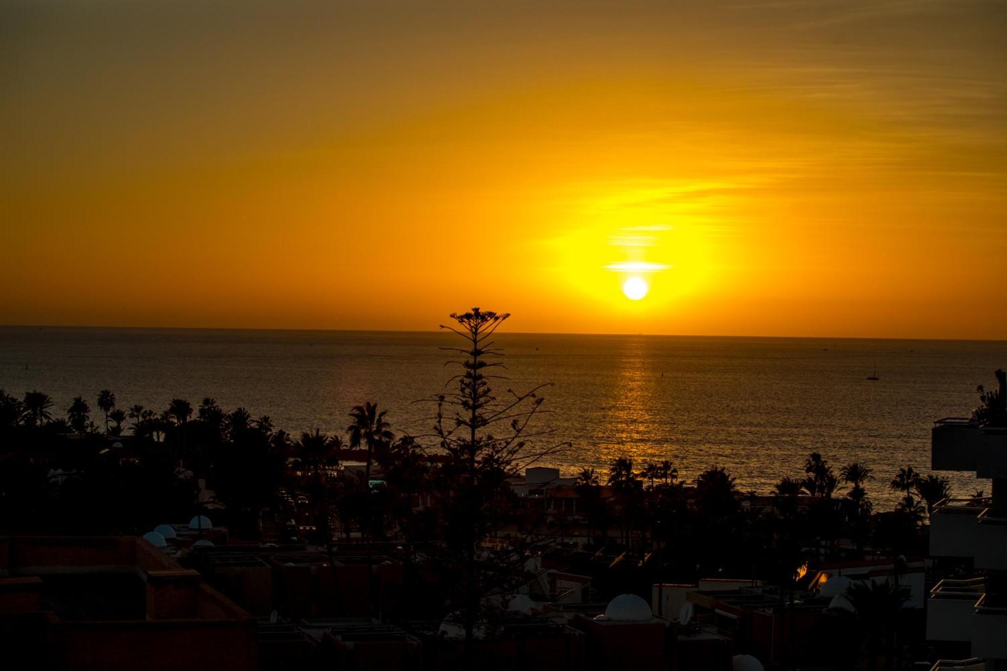 Ponderosa 611, Americas, One Bedroom With Large Terrace And Ocean View, Next To Siam Park * Playa Fanabe