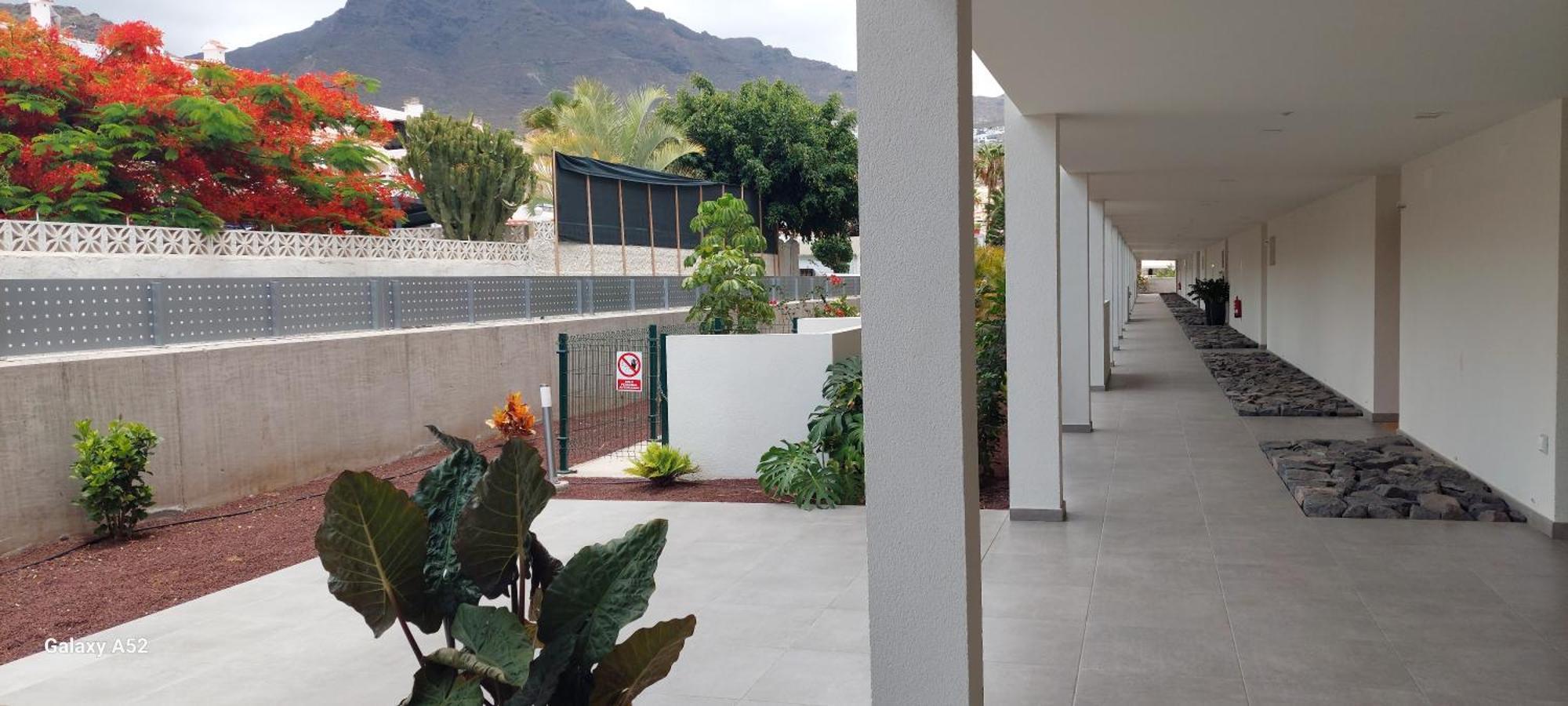 Terrazas Favorite Place Apartment *