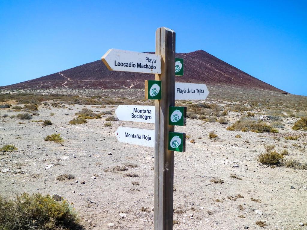 Refreshing Oasis * El Medano (Tenerife)