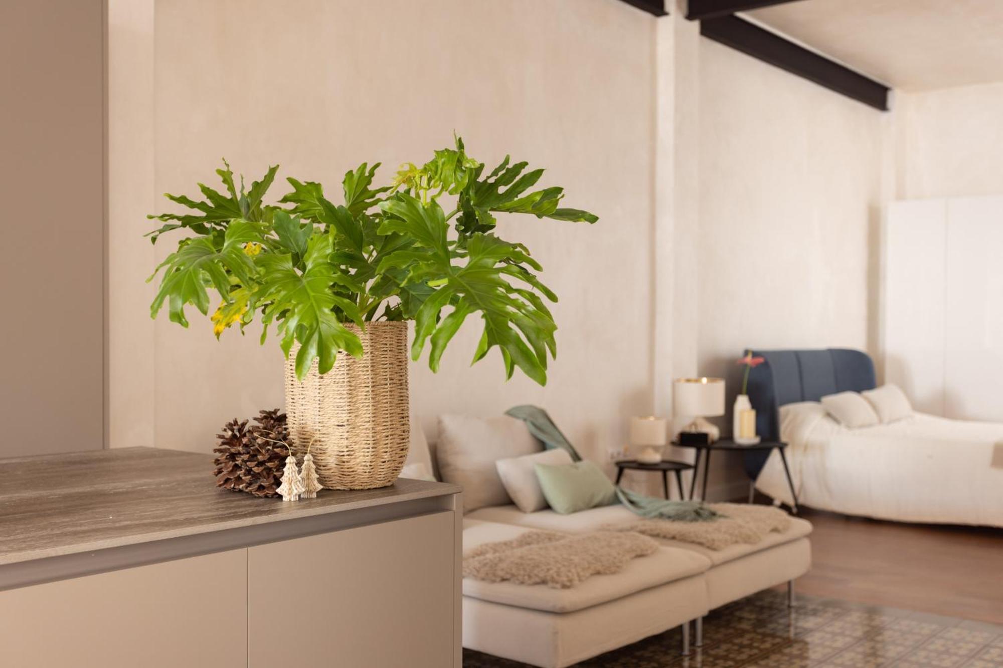 Eden Luxury Premier Penthouse * Santa Cruz de Tenerife