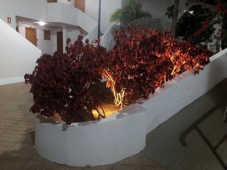 Helena En Garden Con Piscina Climatizada Apartment Playa Fanabe