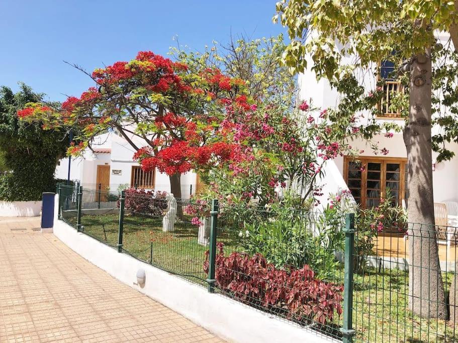 Apartment Helena En Garden Con Piscina Climatizada