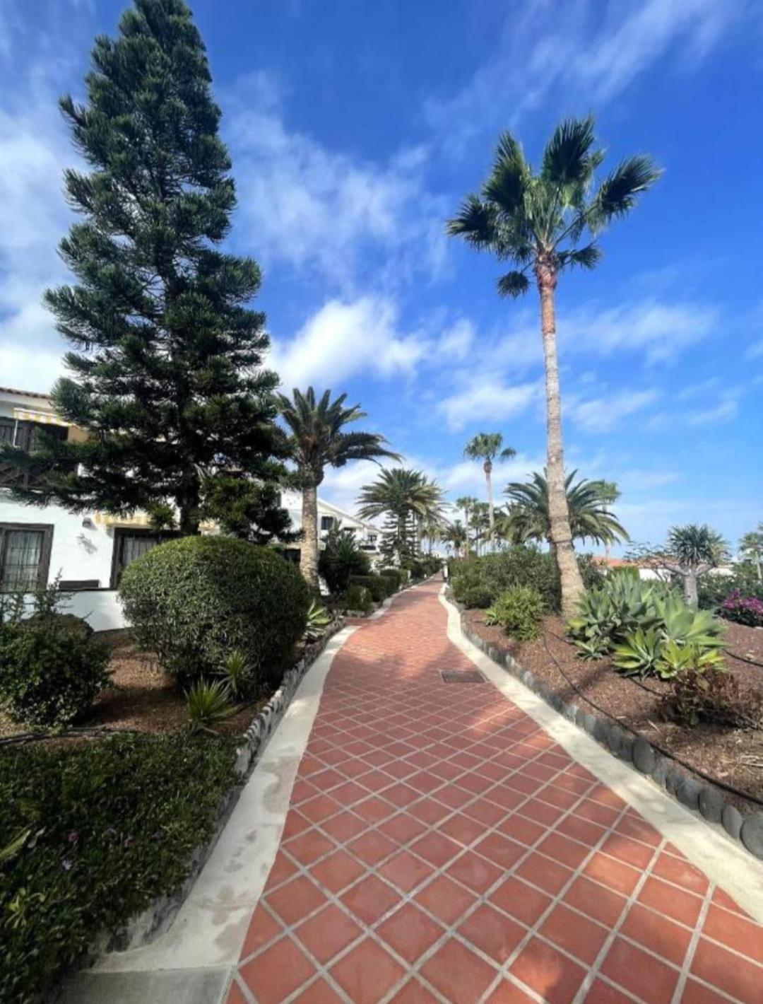 In Amarilla Golf 2 Bedrooms * San Miguel de Abona