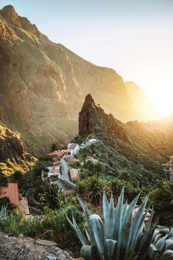 Appartement Ponderosa Tenerife