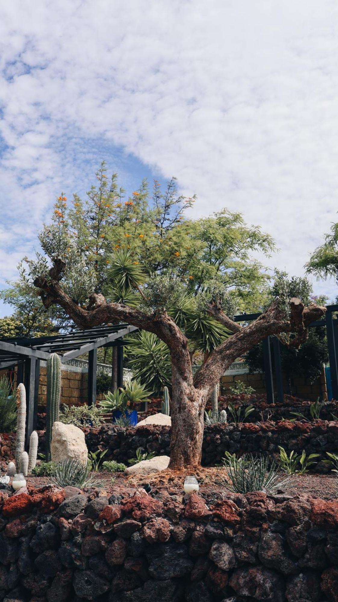 Villa The Nest Tenerife