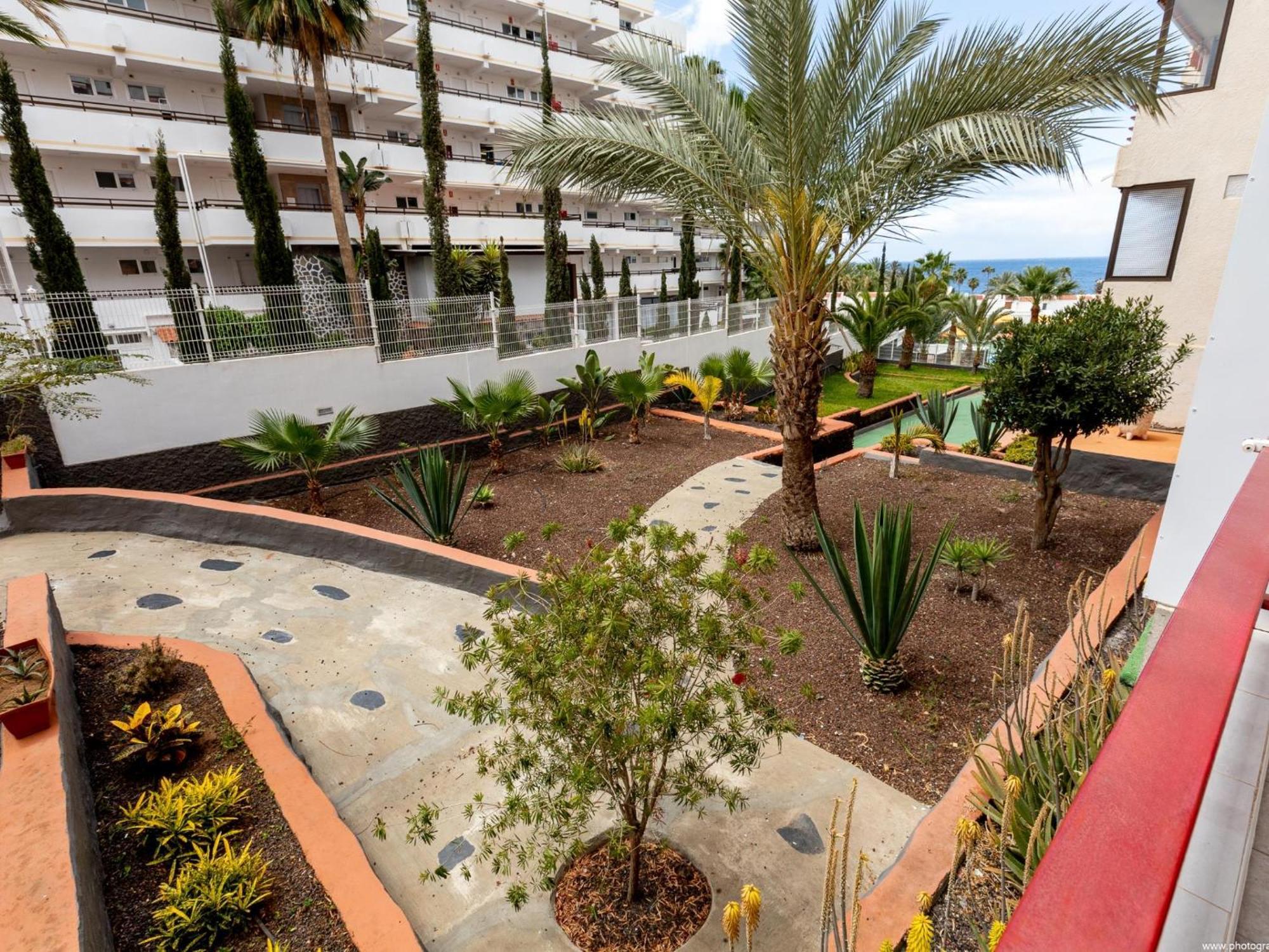222 Olympia * Playa de las Americas (Tenerife)