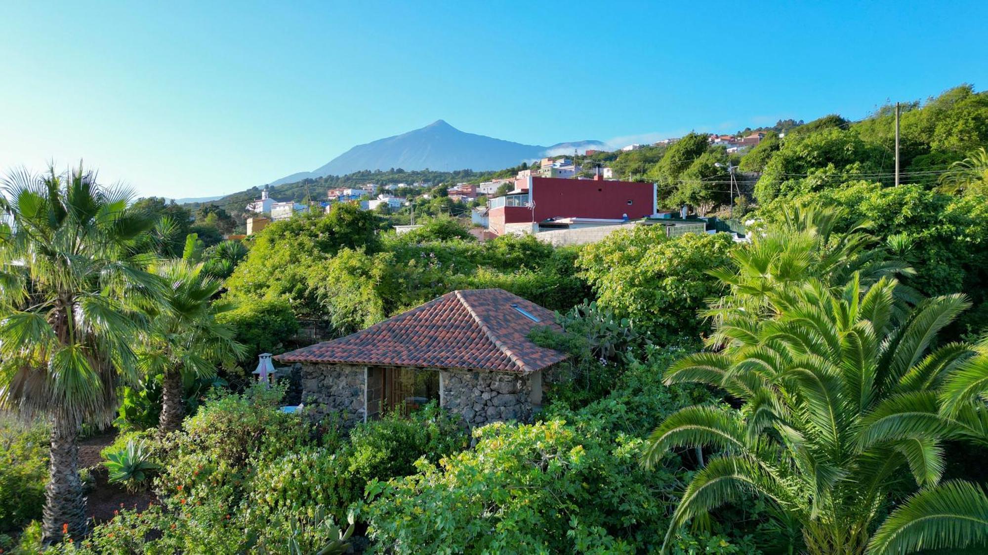 Tenerife - Traumblick, Tropischer Garten, Viel Platz & Ruhe Сasa de vacaciones