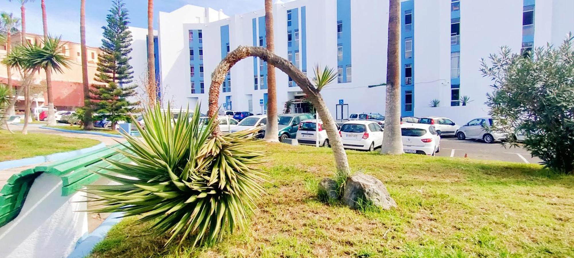 Park Con Piscina, Bar, Wifi, Parking * San Miguel de Abona