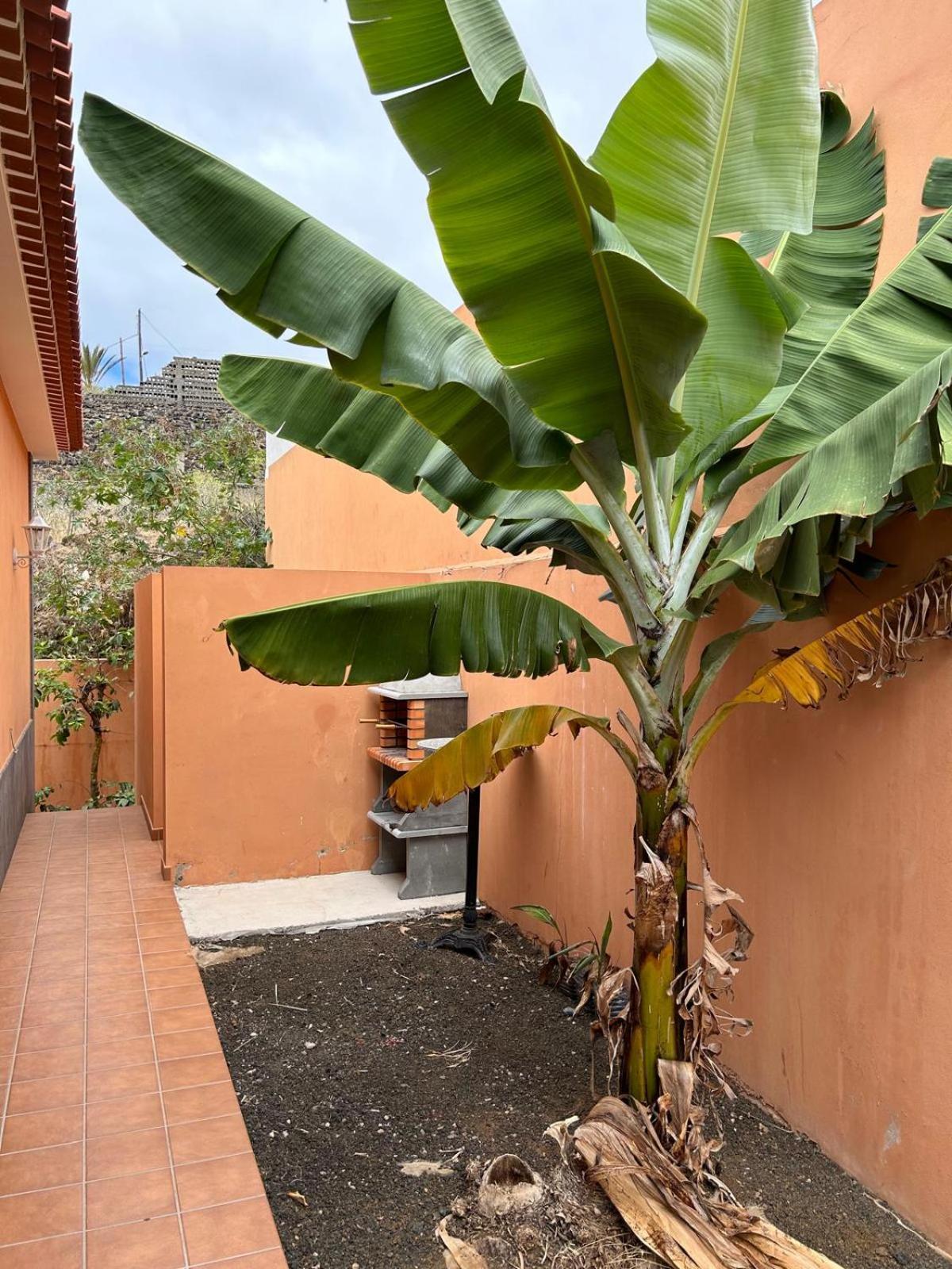 Piscina Privada Max 26º Jardin, Tranquilidad Chalet