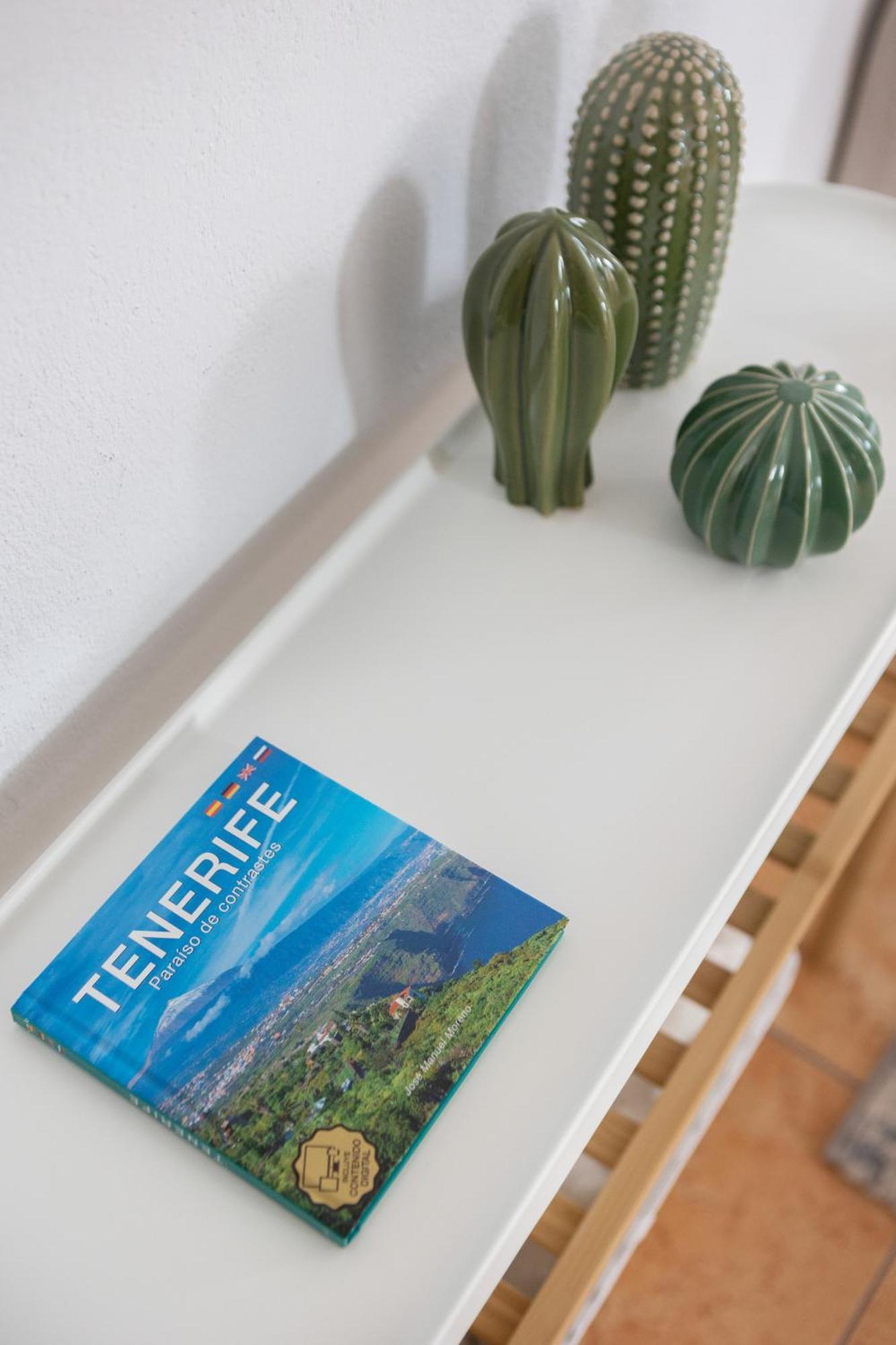 Elegant, Comfortable Penthouse With Scenic Views Appartement