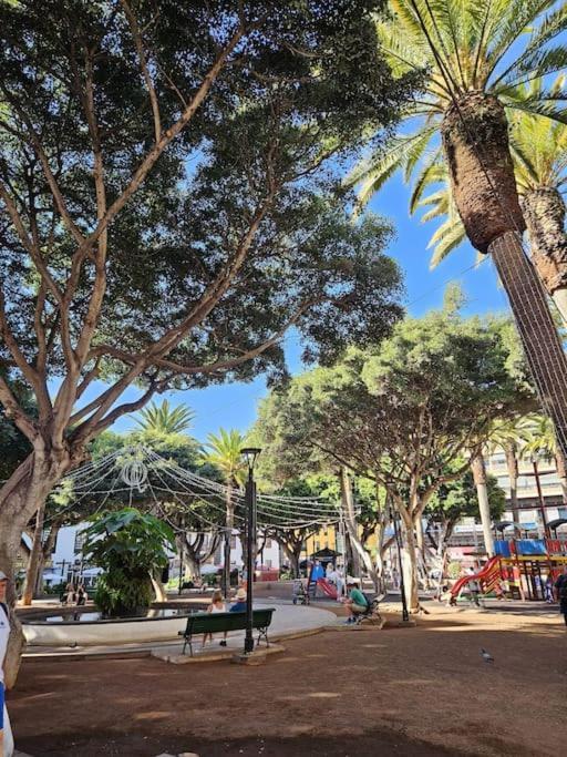 Plaza Del Charco Flat
