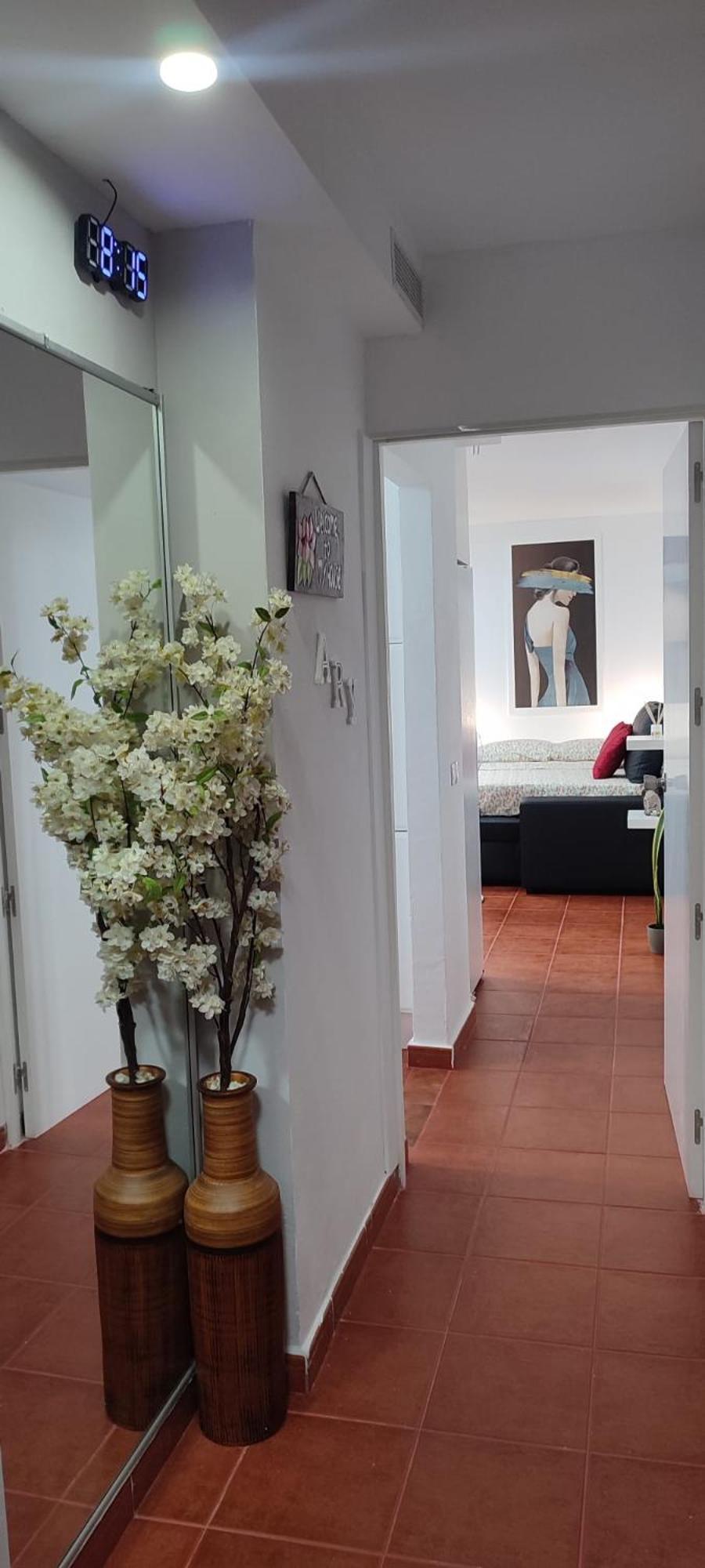 Apto Ary Apartamento La Jaca