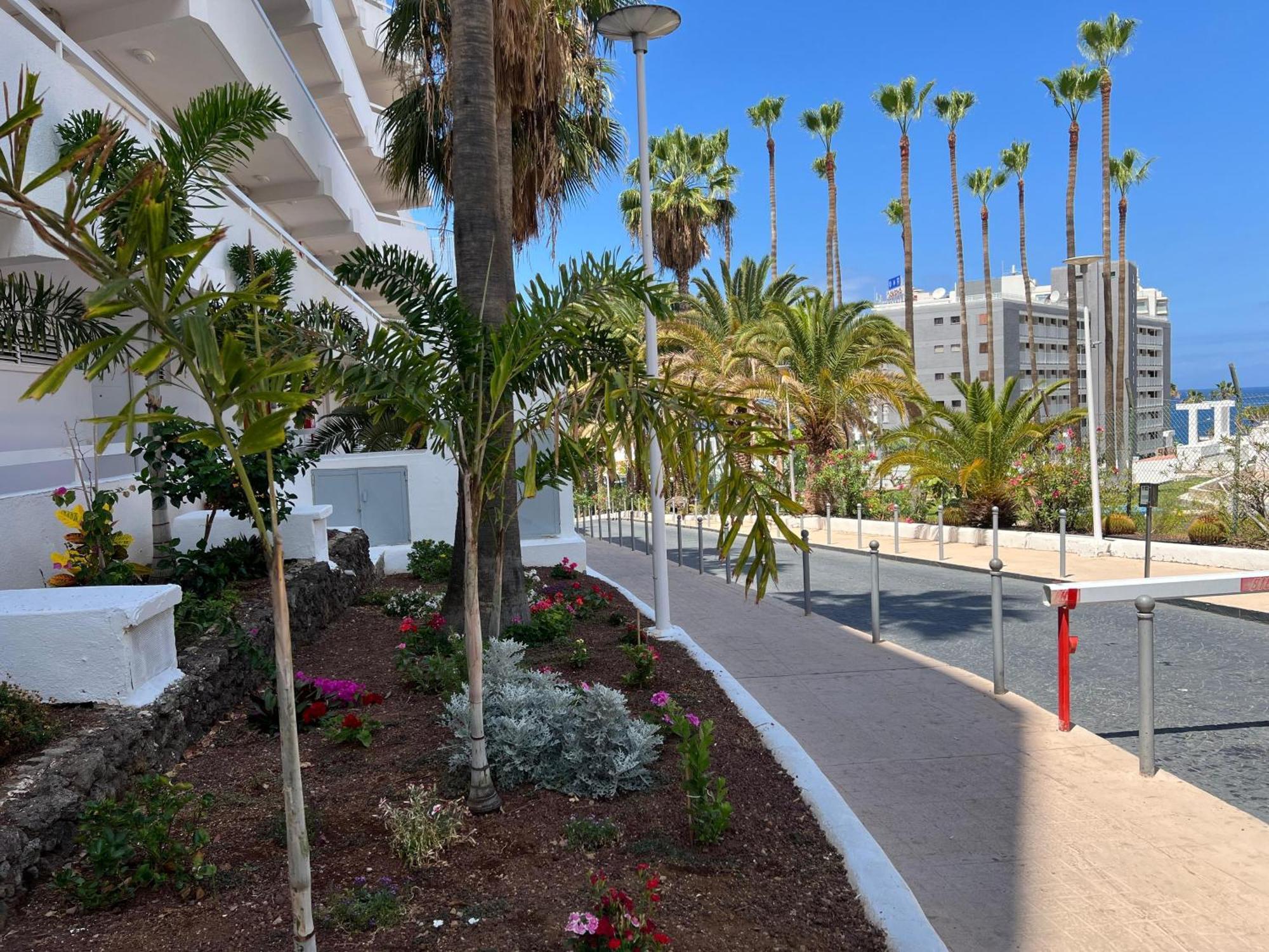 Tenerife Sea View 216 Aparthotel *