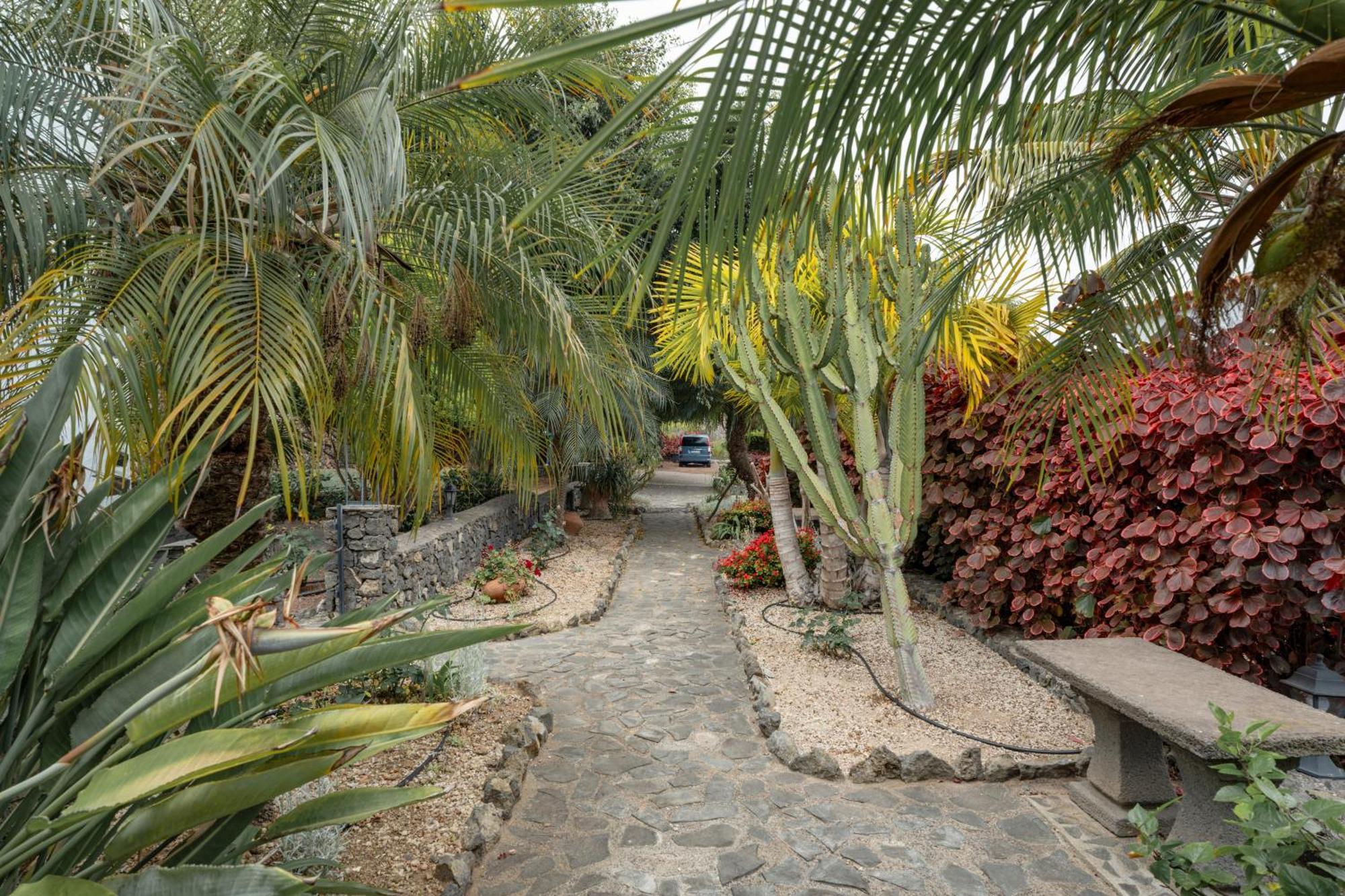 Casa Candelaria *