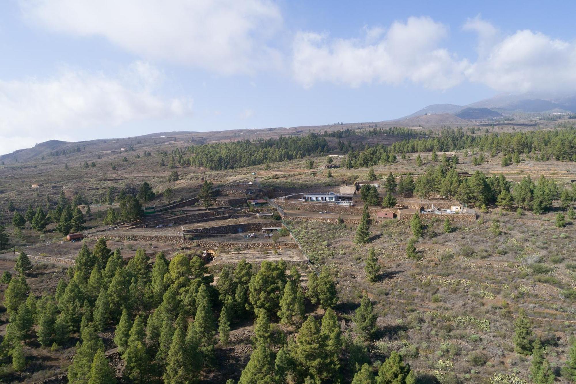 Karat Uchova San Miguel de Abona