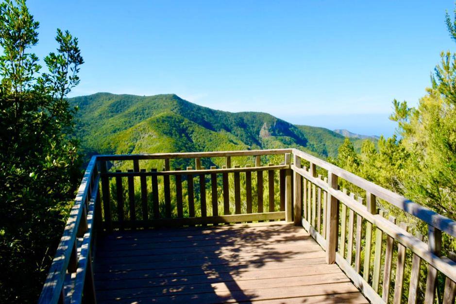 Apartamento Naturlife *