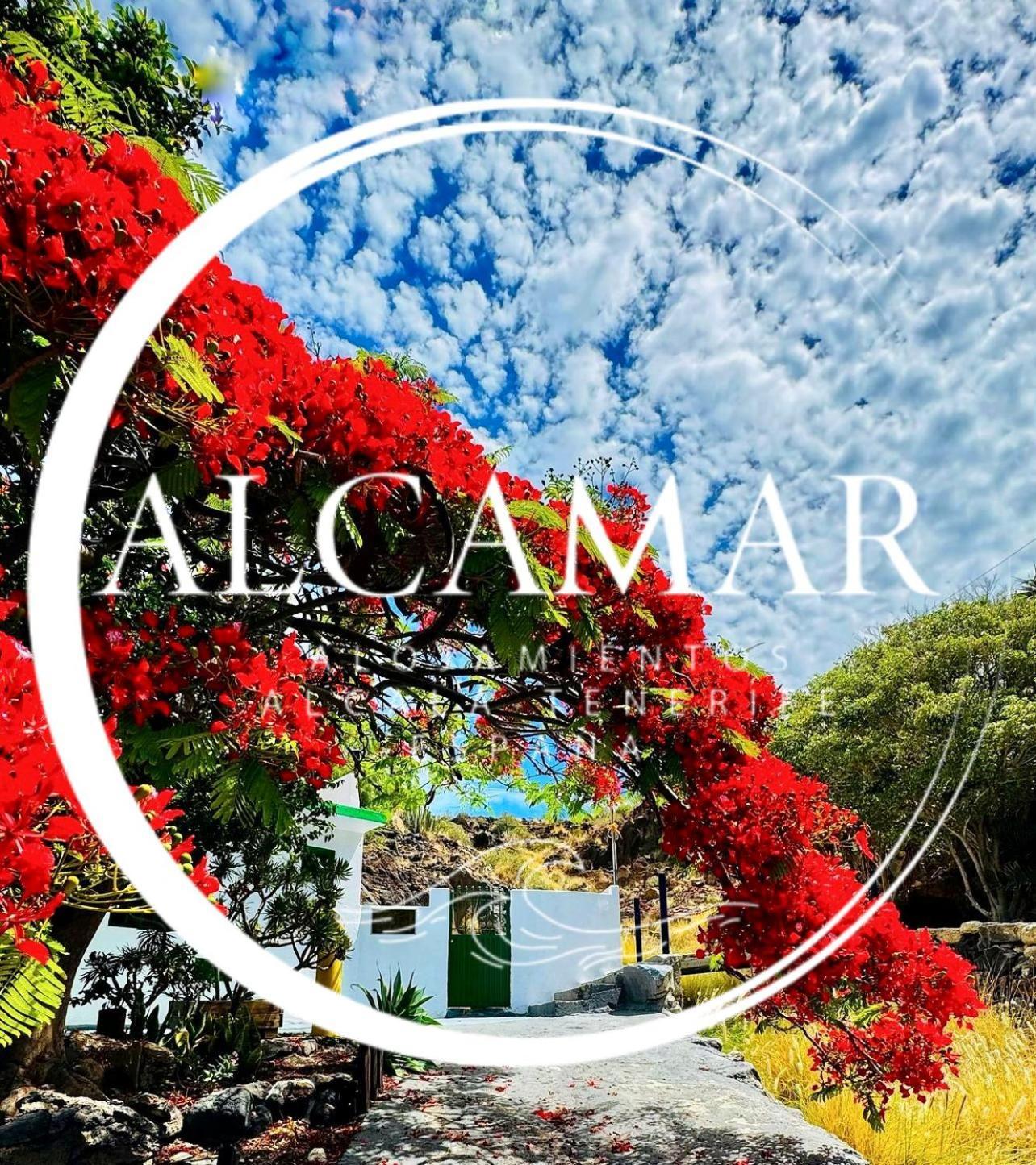 Alcamar Privada Con Areas De Sala, Cocina Y Bano Que Se Comparten Cerca Al Mar! Séjour chez l'habitant *