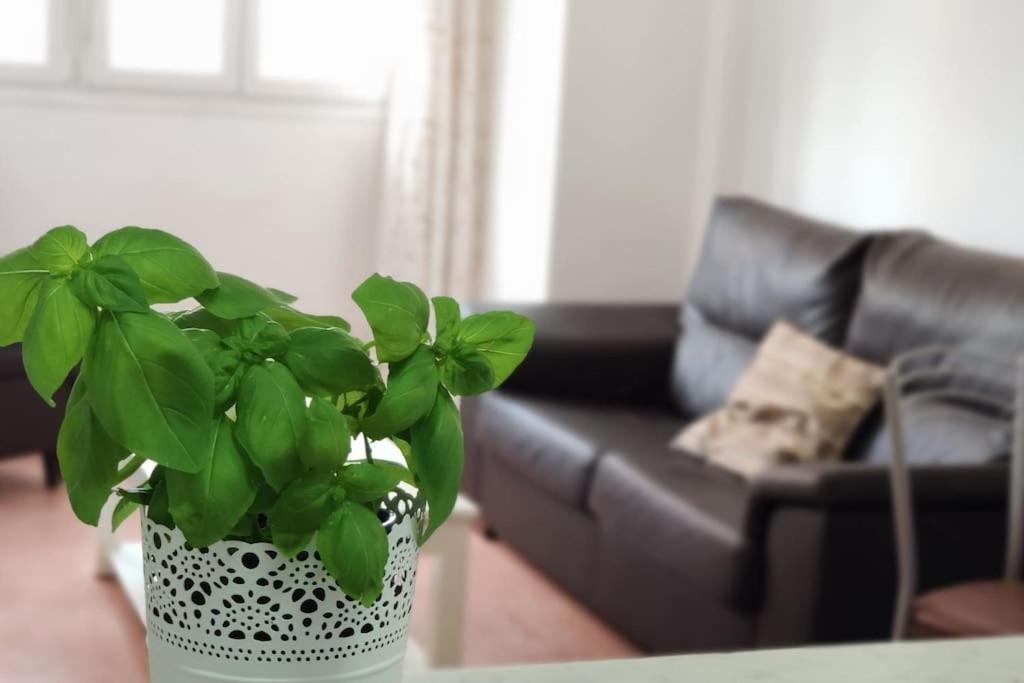 Apartment Breathe - Surf, Piscinas Naturales, Senderismo