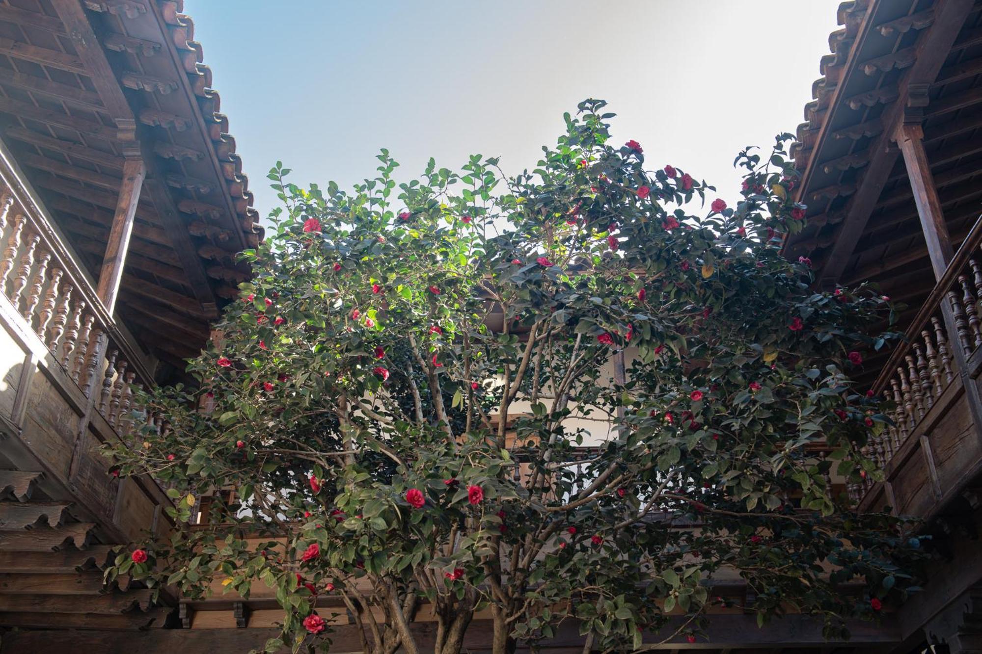 La Casa De La Camelia Hotel La Laguna (Tenerife)