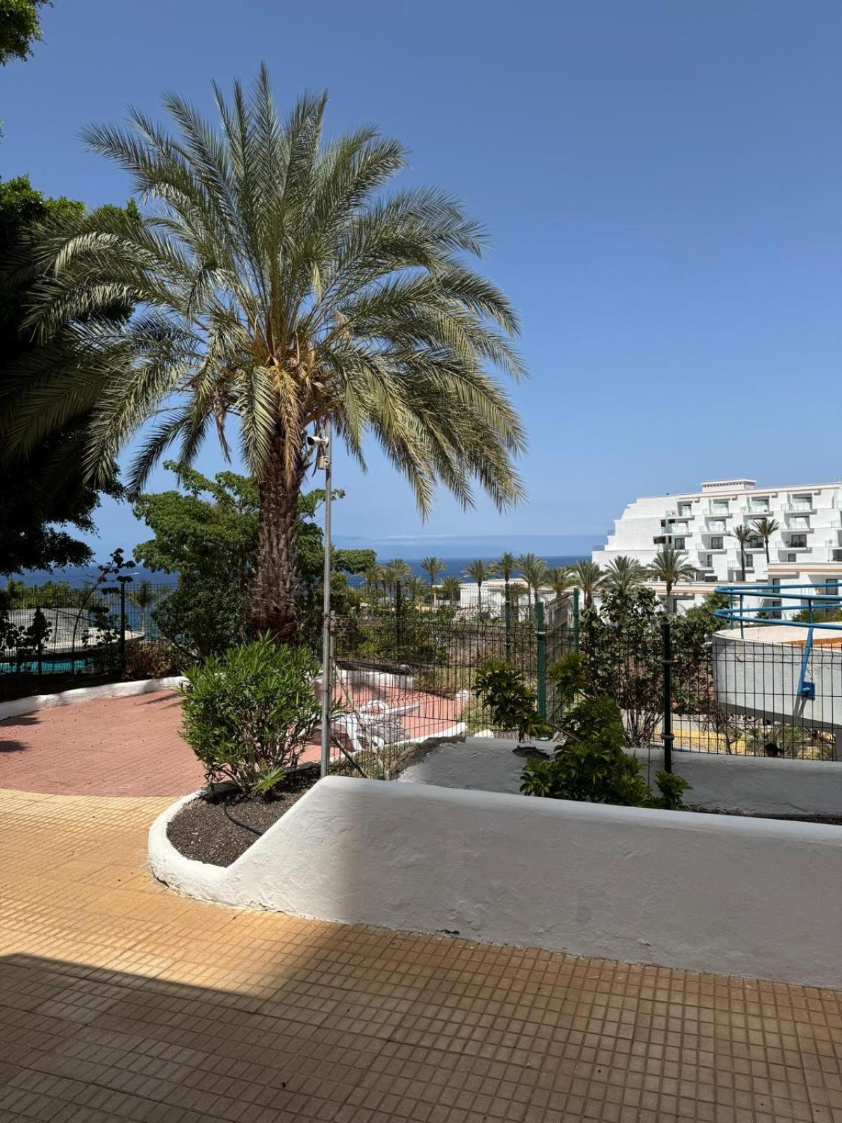 Paraiso Del Sur Tenerife *
