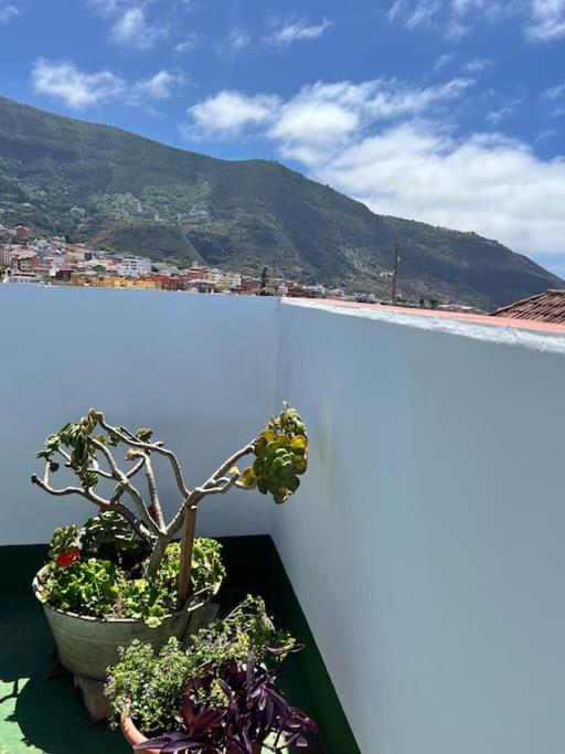 The Little Brezo Stone Tenerife *