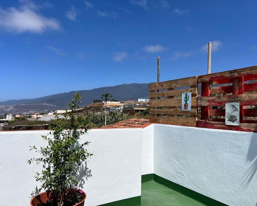The Little Brezo Stone Tenerife * Los Realejos