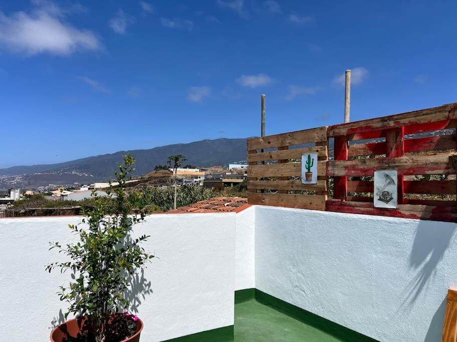 Holiday home The Zarzamora Canary Little Los Realejos