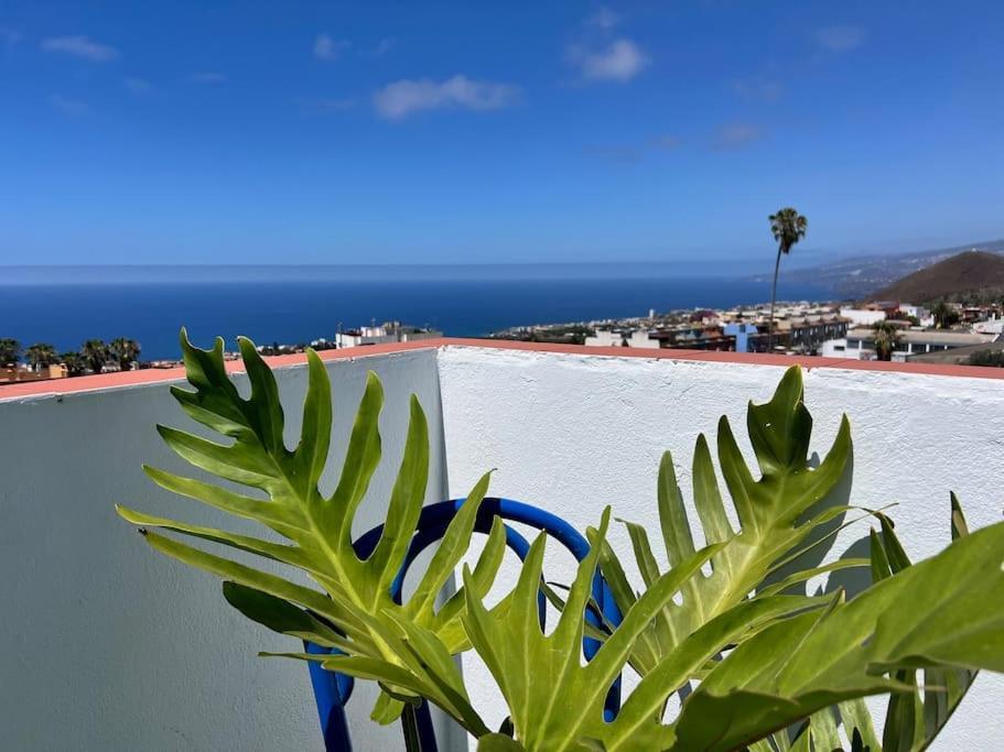 Holiday home The Zarzamora Canary Little