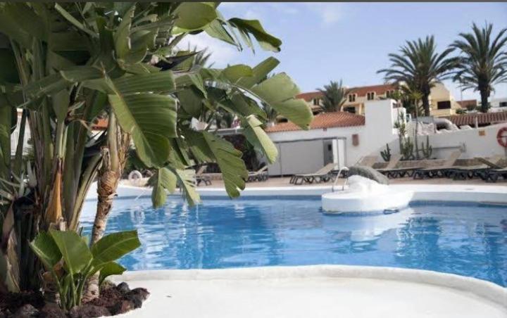 Paraiso Royal X Apartment *