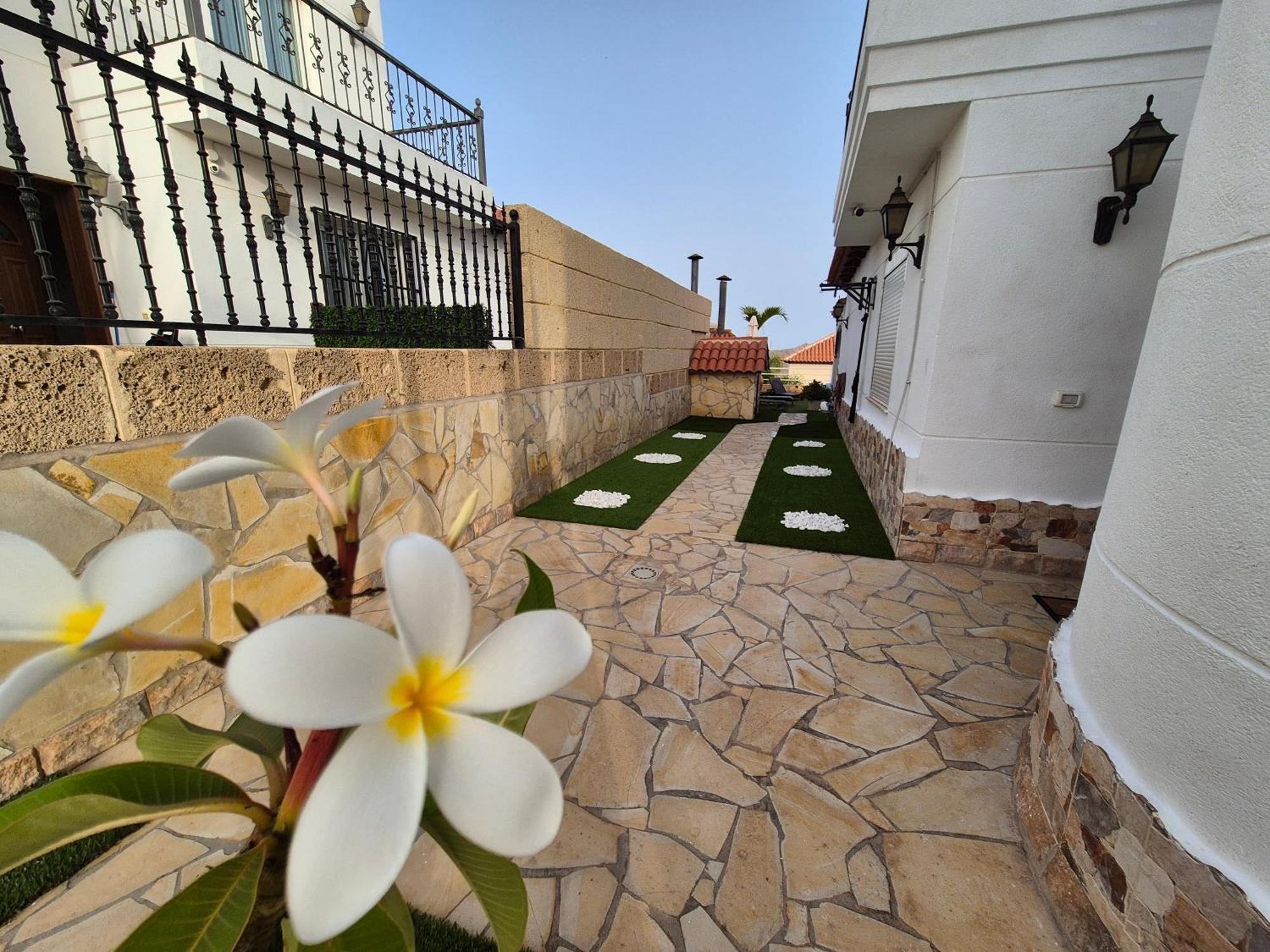 Habibi Luxury 5a *