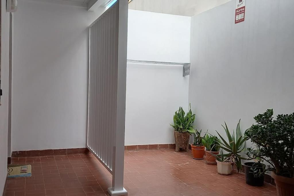 Amplio Con Vistas Privilegiadas Appartement Garachico (Tenerife)