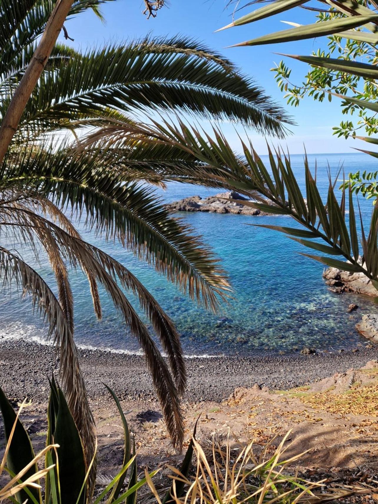 Del Mar Playa de San Juan (Tenerife)