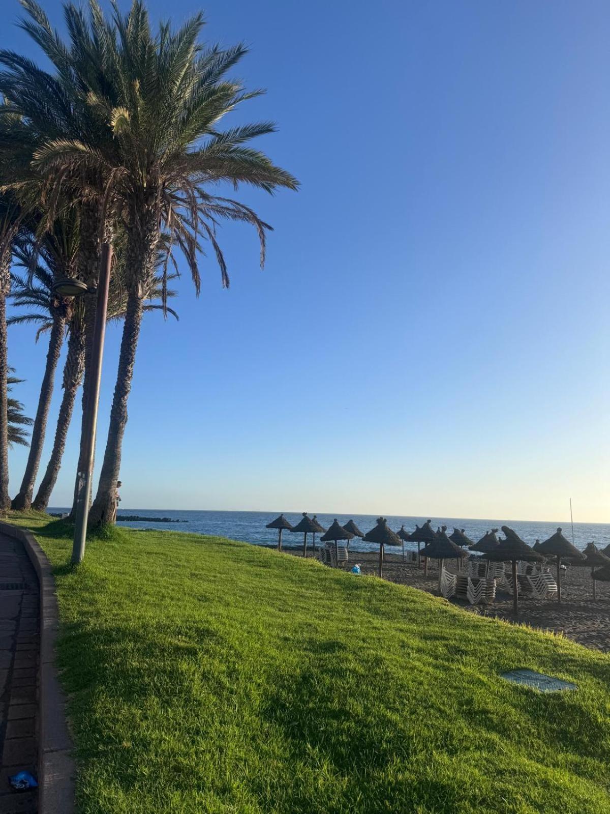 Apartment Americas Tropical Nights Playa de las Americas (Tenerife)