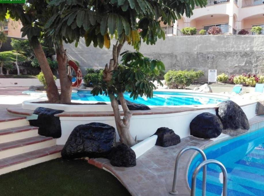 En Golf Del Sur Con Piscina Apartamento San Miguel de Abona