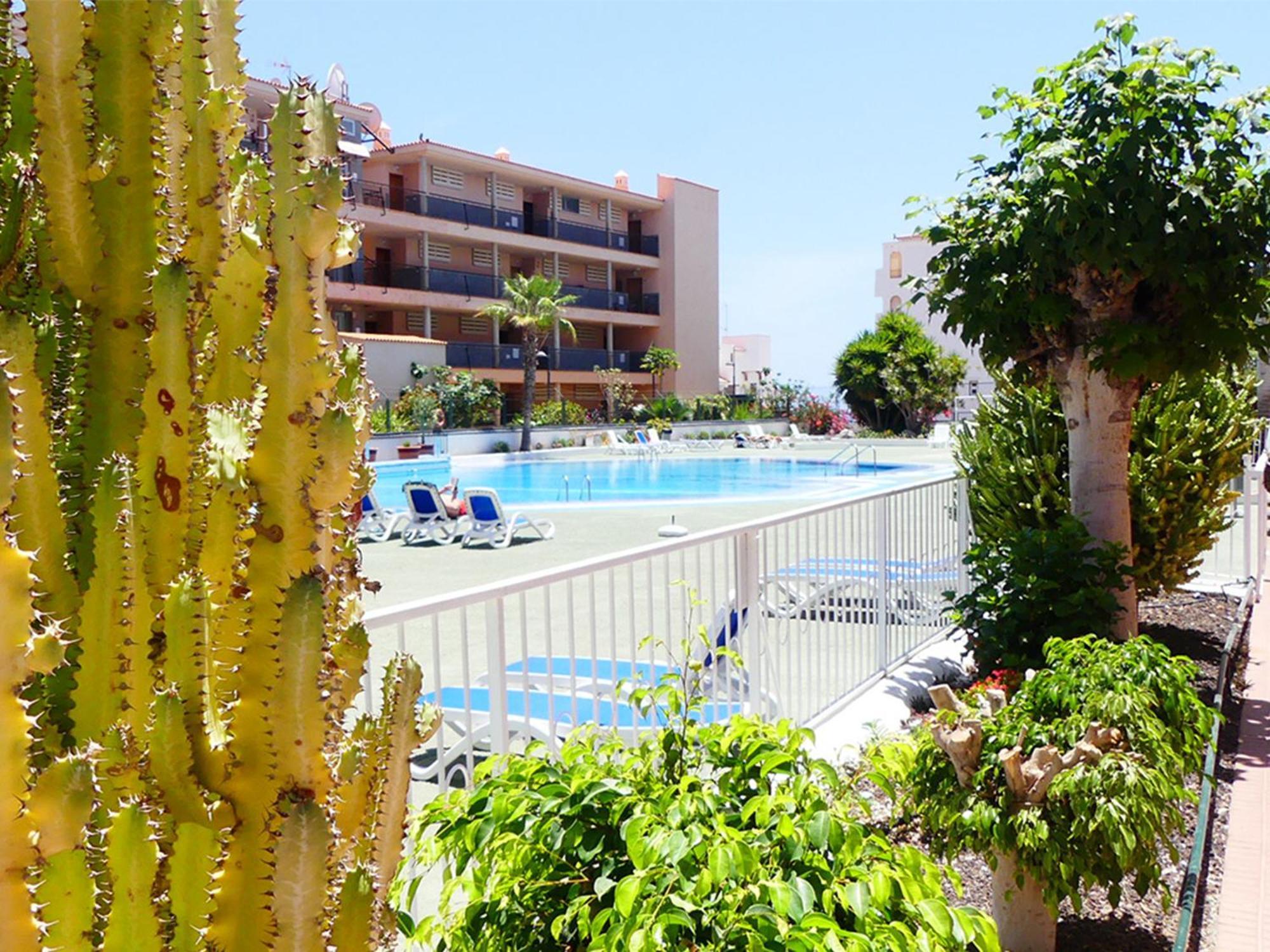 Appartement Encantador Con Terraza, Cristianos *
