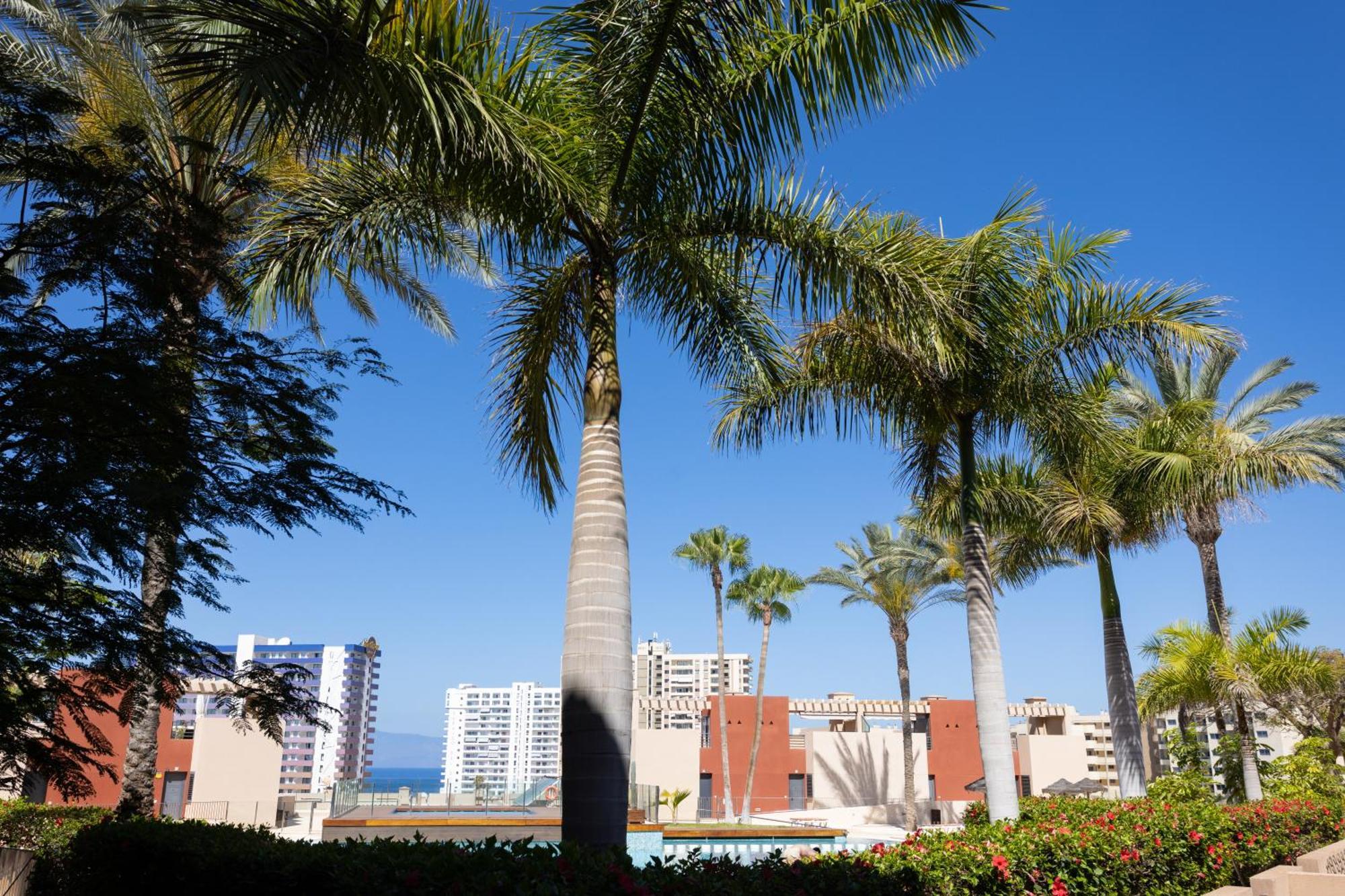 Playa Paraiso 2 -