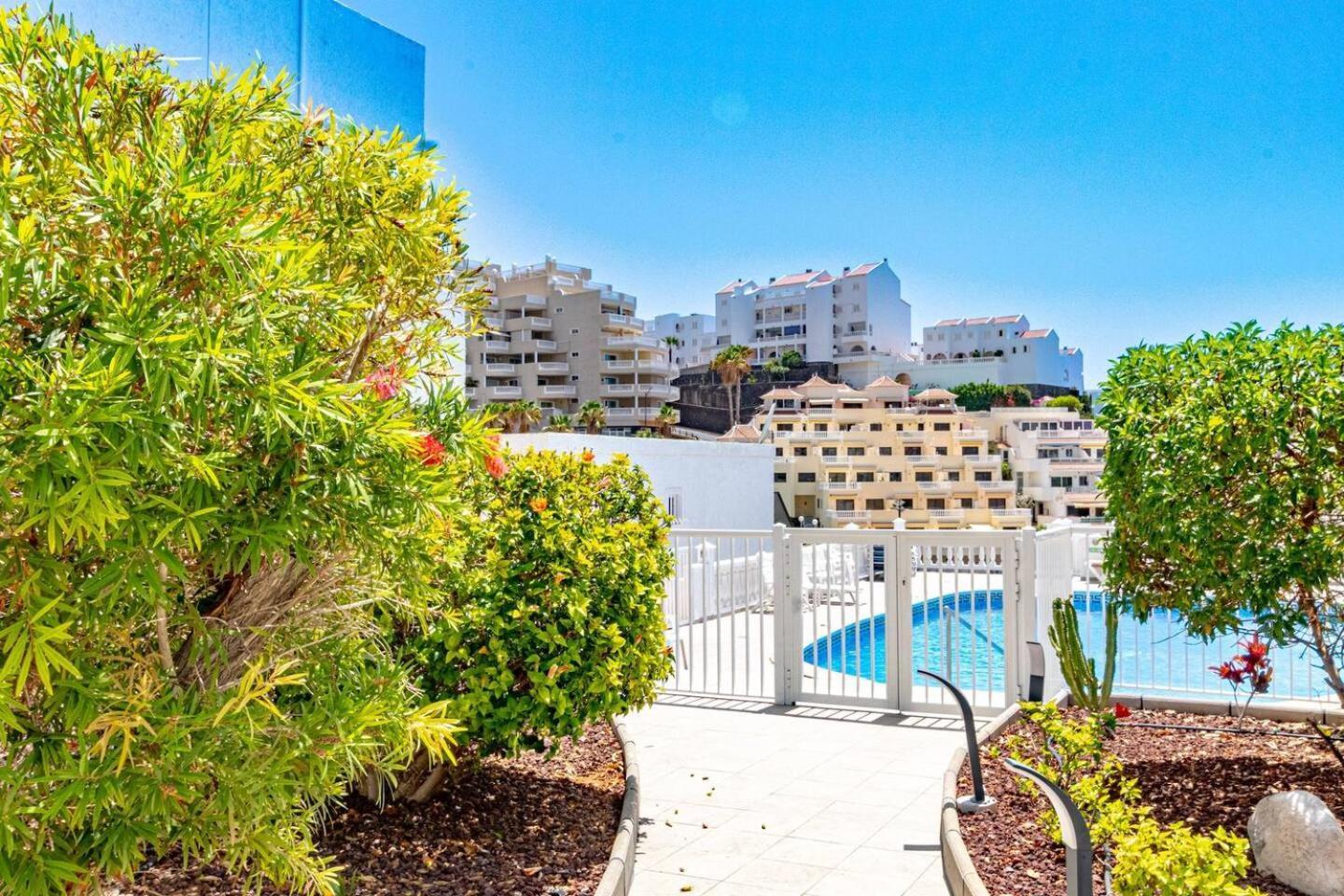 Sunny Oceanview Terrace By Dream Homes Tenerife Apartment *
