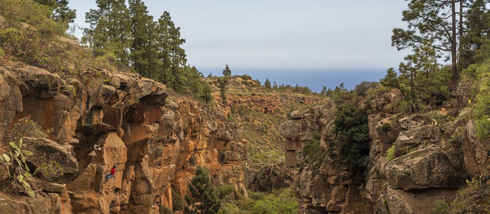Tenerife Climbing House Auberge de jeunesse *