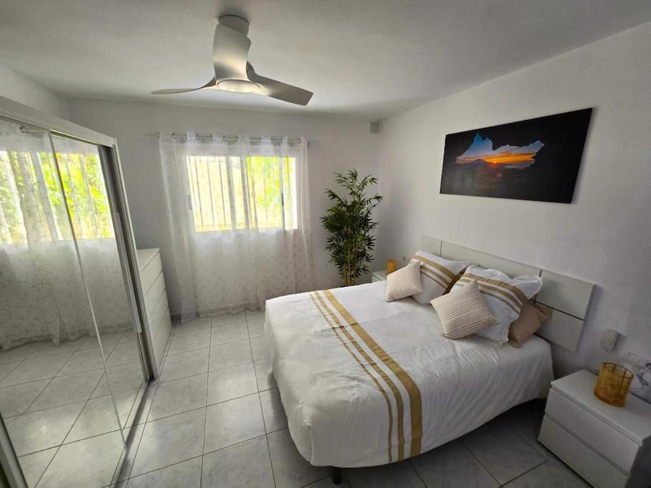 Apolonia Apartamento