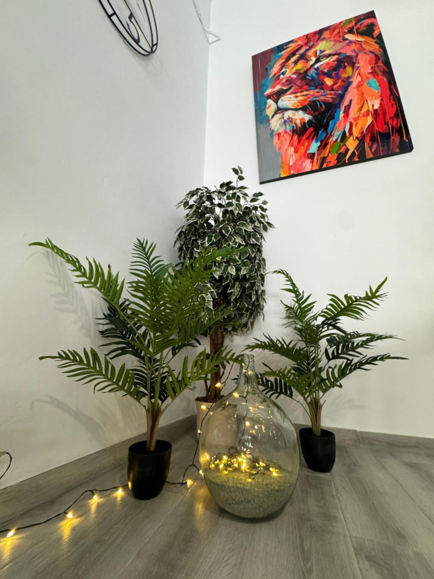Dream Loft Sc Santa-Cruz de Ténérife