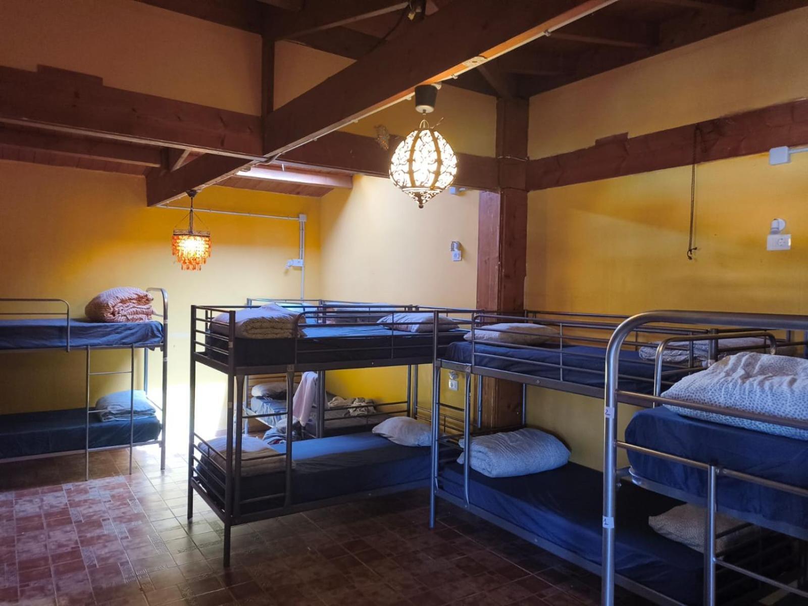 Amigos Nest * La Mareta