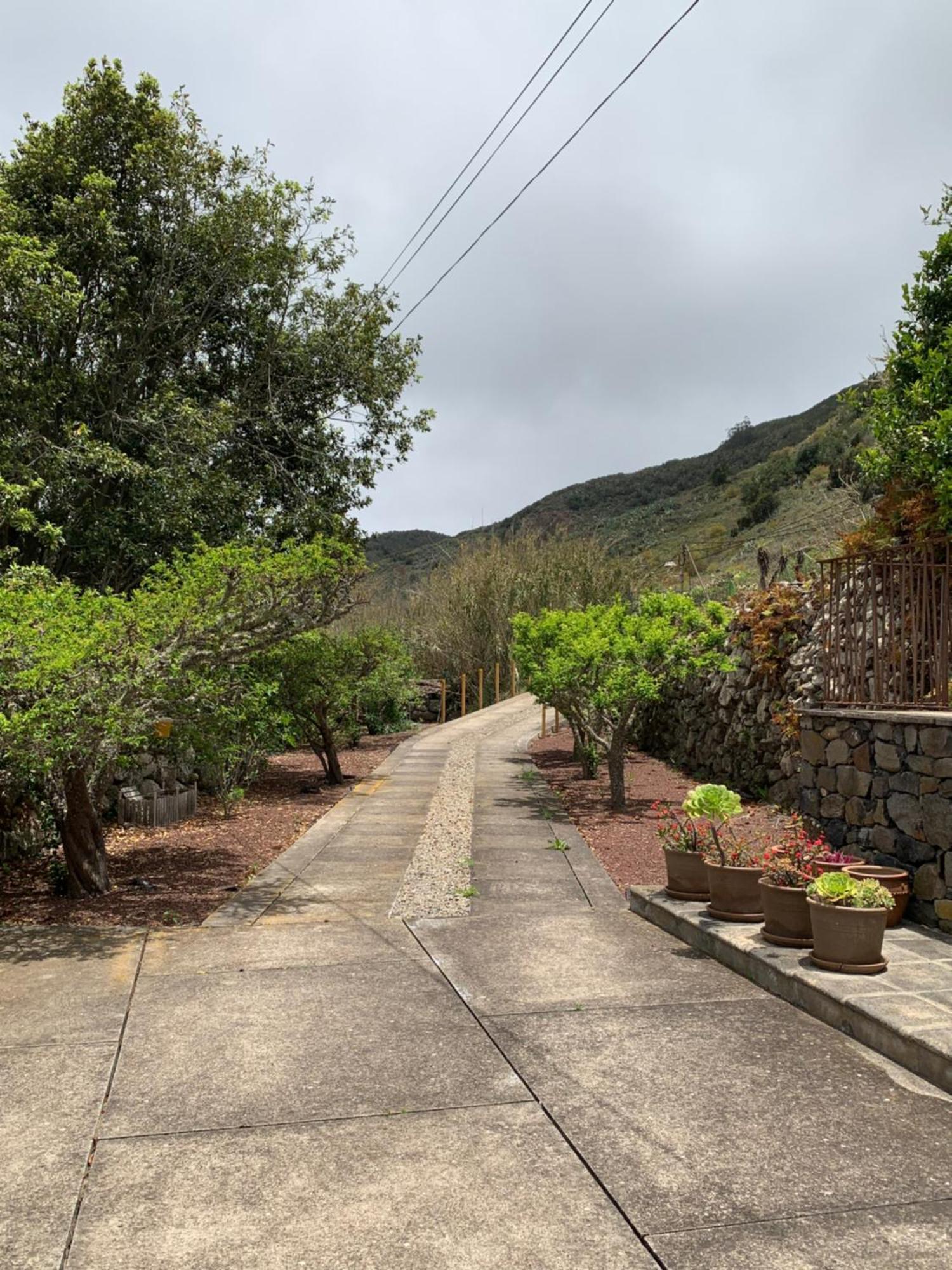 El Chorrito Hébergement de vacances Buenavista Del Norte
