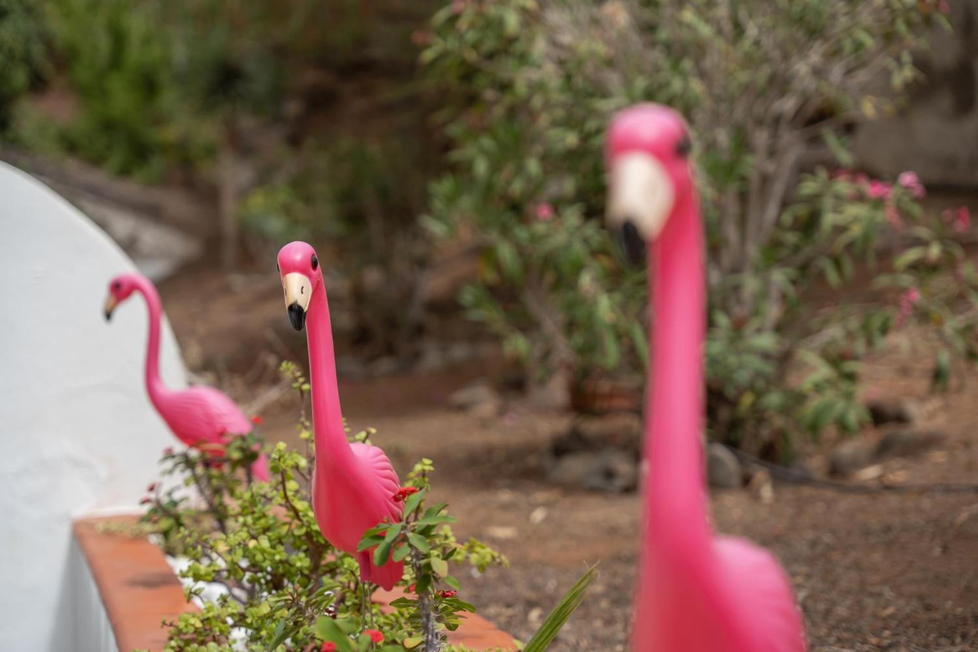 Apto Jardin Del Sol By Paramount Holidays * Puerto de Santiago (Tenerife)