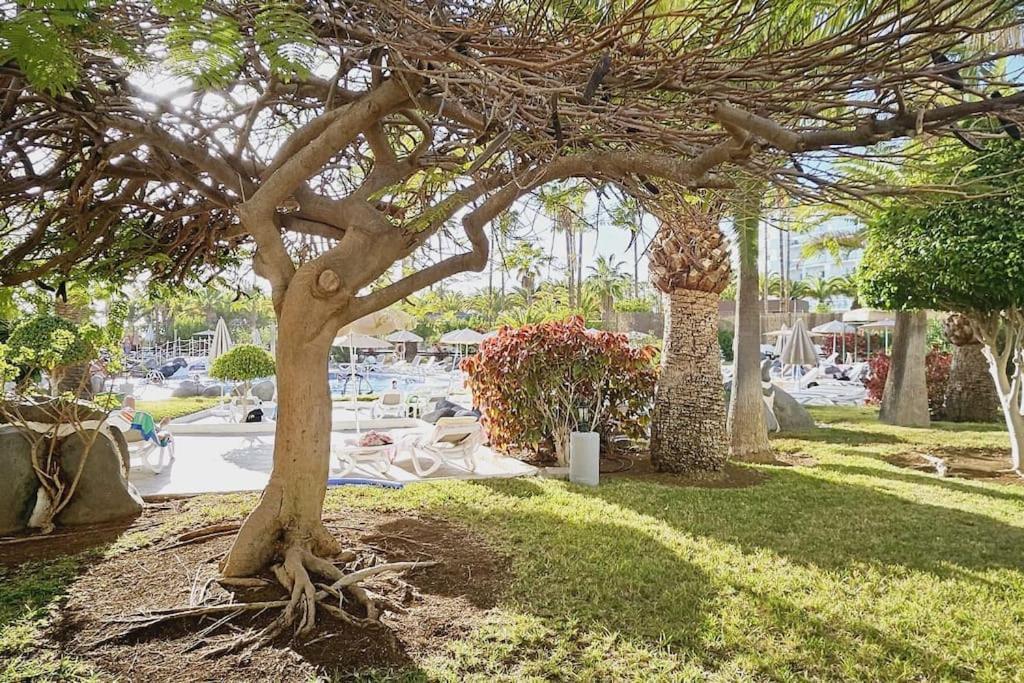 Apartamento Altamira Paradise Costa Adeje (Tenerife)