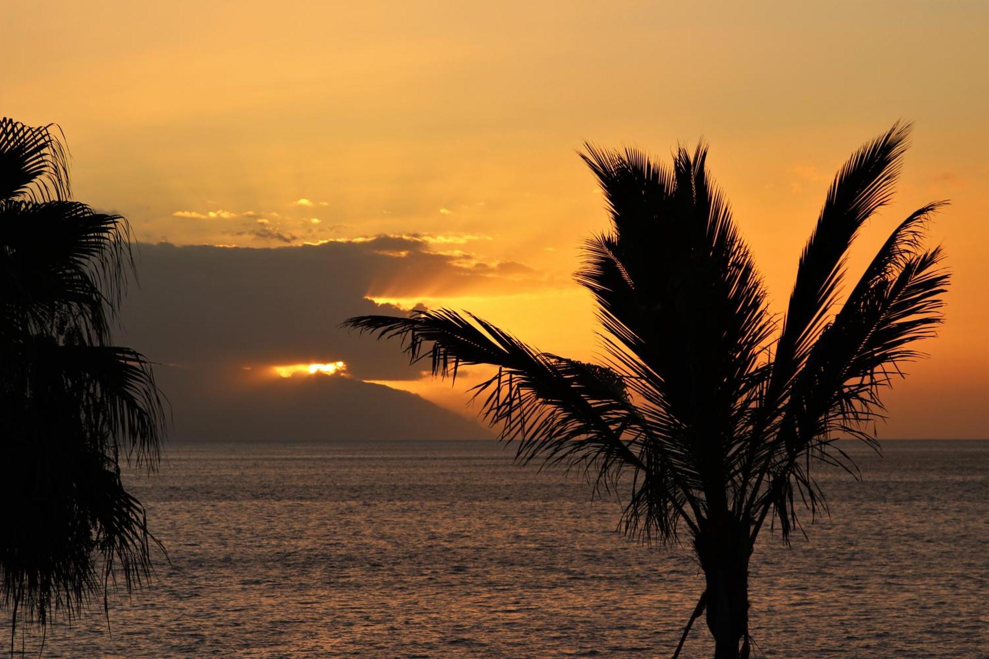 Beautiful Sunset